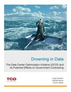 Cover page of the Drowning in Data white paper.