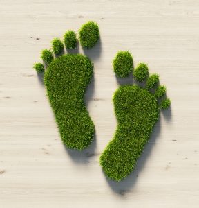 Grass trimmed in the shape of footprints