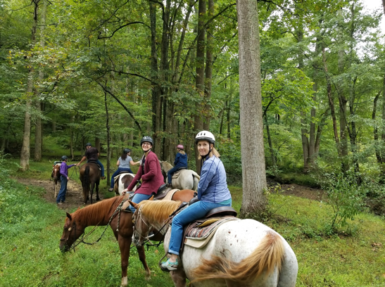 Horseback Riding Spree