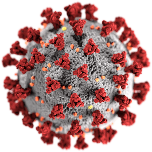 A note on the COVID-19 pandemic