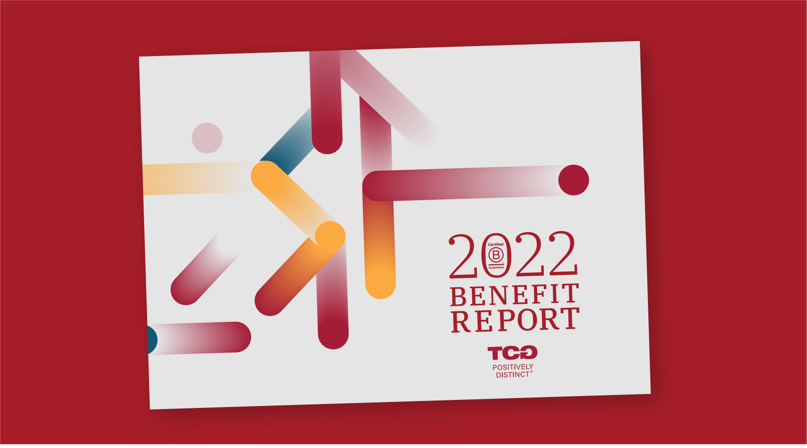 2022 ANNUAL REPORT